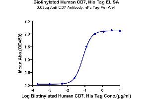 Immobilized Anti-CD7 Antibody, hFc Tag at 0.