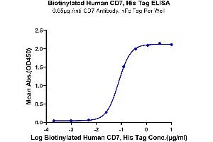 Immobilized Anti-CD7 Antibody, hFc Tag at 0. (CD7 Protein (CD7) (AA 26-180) (His-Avi Tag,Biotin))