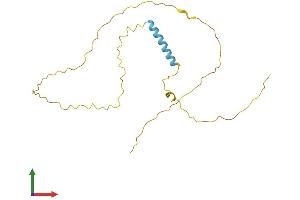 AlphaFold protein structure predicition of Mouse Recombinant Tceal3 Protein, UniprotID Q8R0A5