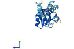 AlphaFold protein structure predicition of Mouse Recombinant Gemin6 Protein, UniprotID Q9CX53