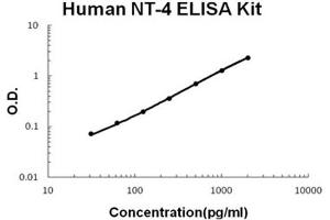 Human NT-4 PicoKine ELISA Kit standard curve (Neurotrophin 4 Kit ELISA)