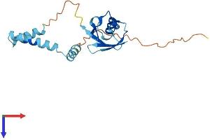 AlphaFold protein structure predicition of Human Recombinant UBL4B Protein, UniprotID Q8N7F7