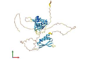 AlphaFold protein structure predicition of Human Recombinant PCBP4 Protein, UniprotID P57723