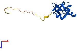 AlphaFold protein structure predicition of Mouse Recombinant Srxn1 Protein, UniprotID Q9D975