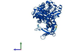AlphaFold protein structure predicition of Human Recombinant PGM2L1 Protein, UniprotID Q6PCE3