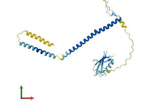 AlphaFold protein structure predicition of Human Recombinant UBXN8 Protein, UniprotID O00124