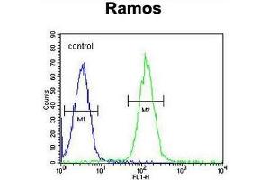 MGC24975 Antibody (C-term) flow cytometric analysis of Ramos cells (right histogram) compared to a negative control cell (left histogram). (PRR22 anticorps  (C-Term))