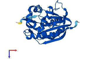 AlphaFold protein structure predicition of Mouse Recombinant Inmt Protein, UniprotID P40936