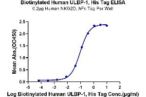 Immobilized Human NKG2D, hFc Tag at 2 μg/mL (100 μL/Well) on the plate.