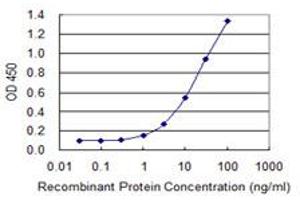 Detection limit for recombinant GST tagged FOXP2 is 0.