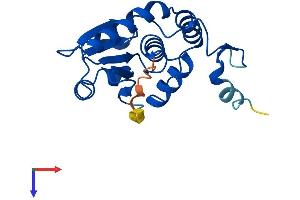 AlphaFold protein structure predicition of Mouse Recombinant Dusp18 Protein, UniprotID Q8VE01