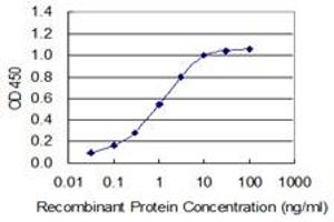 Detection limit for recombinant GST tagged CCT2 is 0. (CCT2 anticorps  (AA 117-217))