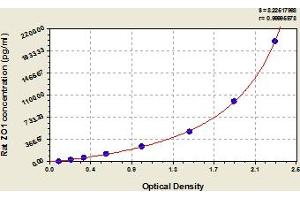 Typical Standard Curve (TJP1 Kit ELISA)