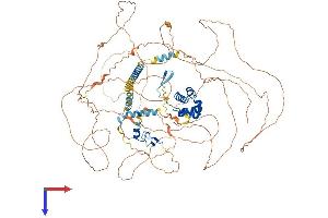 AlphaFold protein structure predicition of Mouse Recombinant Phc3 Protein, UniprotID Q8CHP6