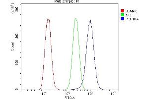 Flow Cytometry analysis of A549 cells using anti-PDE10A antibody (ABIN7601943). (PDE10A anticorps  (AA 515-779))