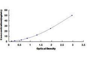 Pim-1 Oncogene (PIM1) ELISA Kit