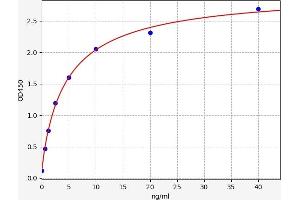 Estrogen Receptor 1 (ESR1) ELISA Kit