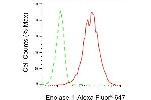 Flow cytometric analysis of Enolase 1 expression in HepG2 cells using Enolase 1 antibody (ABIN7798448), 1:2,000).
