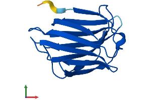 AlphaFold protein structure predicition of Mouse Recombinant Lgals7 Protein, UniprotID O54974