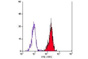 Staining of human peripheral blood monocytes with Mouse anti Human CD55 (ABIN118737). (CD55 anticorps)