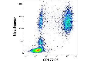 Flow cytometry surface staining pattern of human peripheral whole blood stained using anti-human CD177 (MEM-166) PE antibody (20 μL reagent / 100 μL of peripheral whole blood).