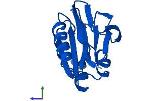 AlphaFold protein structure predicition of Human Recombinant AAMDC Protein, UniprotID Q9H7C9
