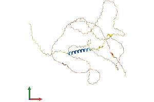 AlphaFold protein structure predicition of Mouse Recombinant Lax1 Protein, UniprotID Q8BHB3