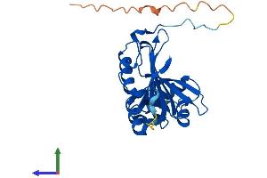 AlphaFold protein structure predicition of Human Recombinant PNPO Protein, UniprotID Q9NVS9