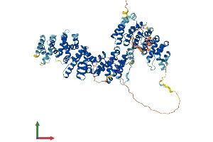 AlphaFold protein structure predicition of Mouse Recombinant Telo2 Protein, UniprotID Q9DC40