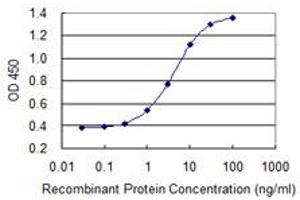 Detection limit for recombinant GST tagged MYOZ1 is 0. (Myozenin 1 anticorps  (AA 200-298))