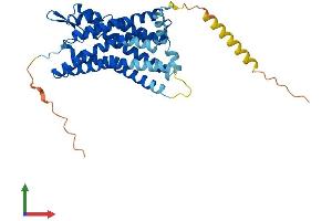 AlphaFold protein structure predicition of Mouse Recombinant P2ry4 Protein, UniprotID Q9JJS7