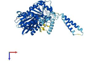 AlphaFold protein structure predicition of Human Recombinant SACM1L Protein, UniprotID Q9NTJ5