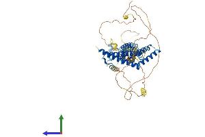 AlphaFold protein structure predicition of Mouse Recombinant Ocln Protein, UniprotID Q61146