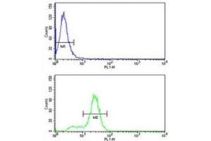 Keratin-14 antibody flow cytometry analysis of MDA-MB231 cells (bottom histogram) compared to a negative control (top histogram).