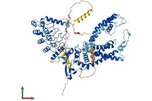 AlphaFold protein structure predicition of Human Recombinant TRPV6 Protein, UniprotID Q9H1D0