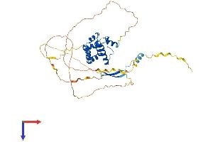 AlphaFold protein structure predicition of Mouse Recombinant Arid3c Protein, UniprotID A6PWV5
