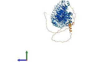 AlphaFold protein structure predicition of Human Recombinant LRRC8D Protein, UniprotID Q7L1W4