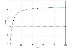 A typical standard curve