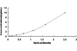 E2F3 ELISA Kit