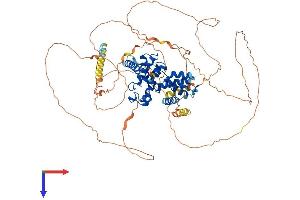 AlphaFold protein structure predicition of Mouse Recombinant Ccnt2 Protein, UniprotID Q7TQK0