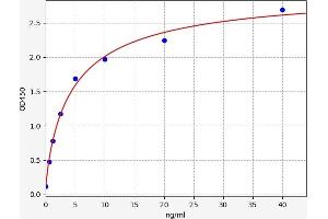 Typical standard curve