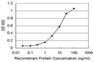 Detection limit for recombinant GST tagged PHF1 is approximately 1ng/ml as a capture antibody. (PHF1 anticorps  (AA 2-100))