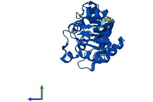 AlphaFold protein structure predicition of Human Recombinant ENOPH1 Protein, UniprotID Q9UHY7
