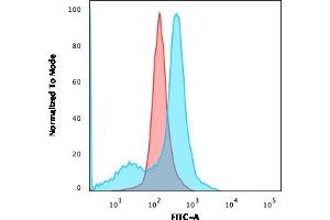 Flow Cytometric Analysis of U87MG cells using CD73 Mouse Monoclonal Antibody (NT5E/2503) followed by goat anti-Mouse IgG-CF488 (Blue); Isotype Control (Red).