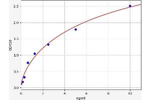 Typical standard curve (VCAM1 Kit ELISA)
