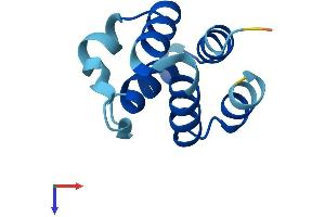 AlphaFold protein structure predicition of Human Recombinant PYDC1 Protein, UniprotID Q8WXC3