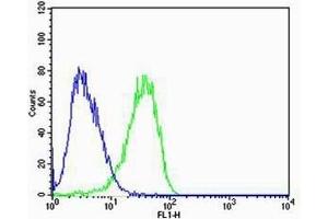Flow cytometric analysis of U-87 MG cells using CN2 Antibody (green, Cat(ABIN6244177 and ABIN6577076)) compared to an isotype control of mouse IgG2b(blue).