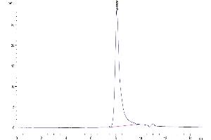 The purity of Biotinylated Human TSLP is greater than 95 % as determined by SEC-HPLC.