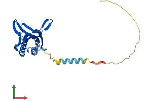 AlphaFold protein structure predicition of Mouse Recombinant Dtd1 Protein, UniprotID Q9DD18