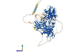 AlphaFold protein structure predicition of Human Recombinant XYLT1 Protein, UniprotID Q86Y38
